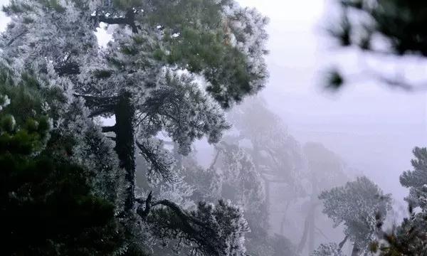 探探猫宝石岛3