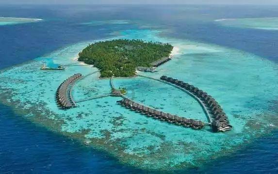 同样价位的护肤品,你会更愿意买国货还是外国品牌?知识星球-领先的共享知识平台