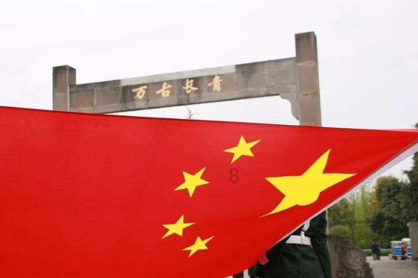 埃琳娜房间清洁