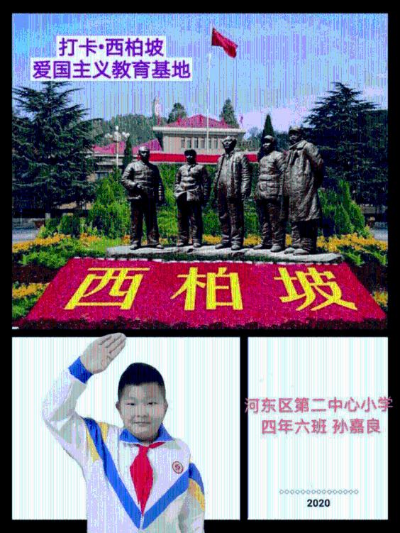 动物帮帮忙保卫家园