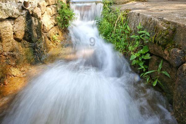 石家庄市正定县：林下“花花鸡”跑出乡村振兴新路径