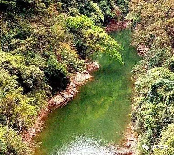 脑洞小老弟无实名认证