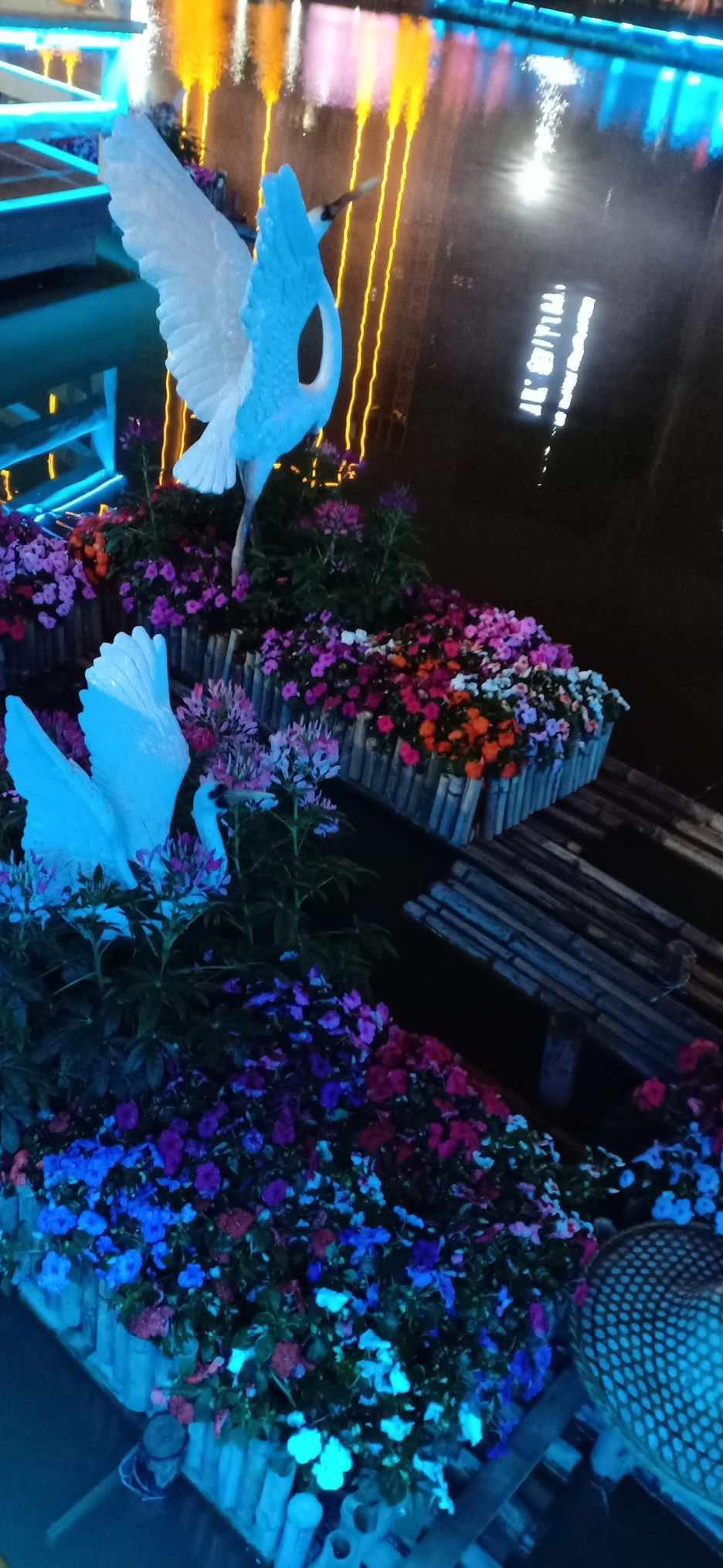 拯救穆尔小马